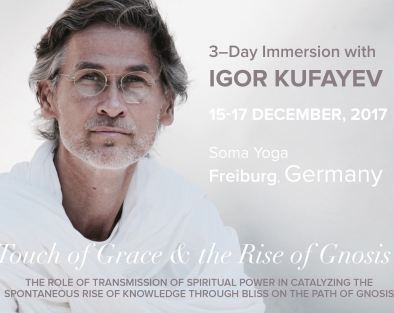 Weekend Immersion in Freiburg, Germany, December 15th 10:00AM, 2017