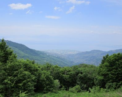 Kalikalos
